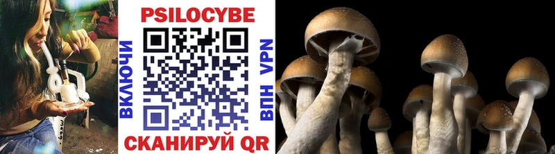 Псилоцибиновые грибы Cubensis  Кирово-Чепецк 