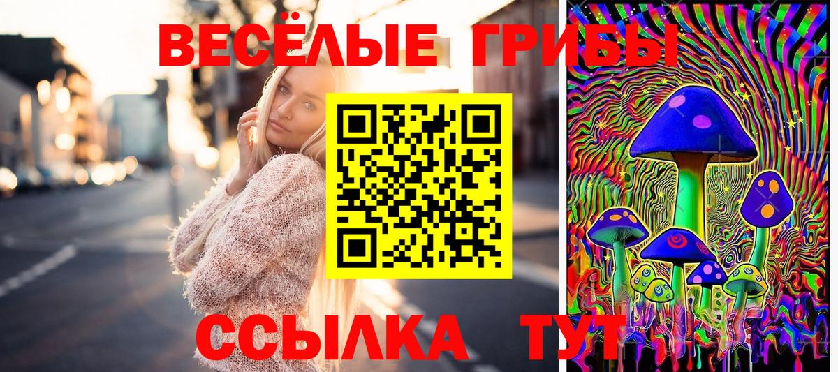 магазин продажи   Кирово-Чепецк  Псилоцибиновые грибы Magic Shrooms 