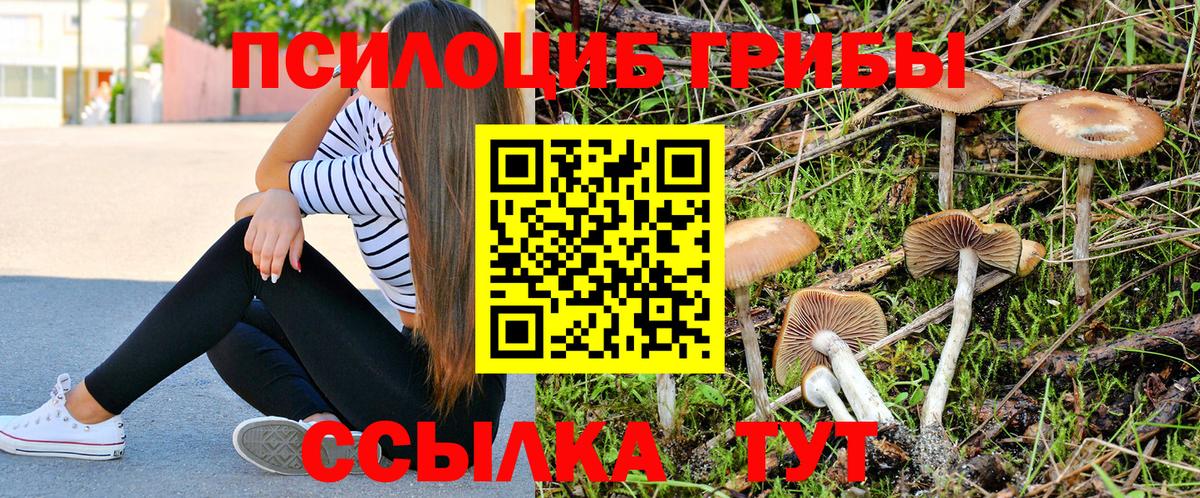 Псилоцибиновые грибы GOLDEN TEACHER Кирово-Чепецк