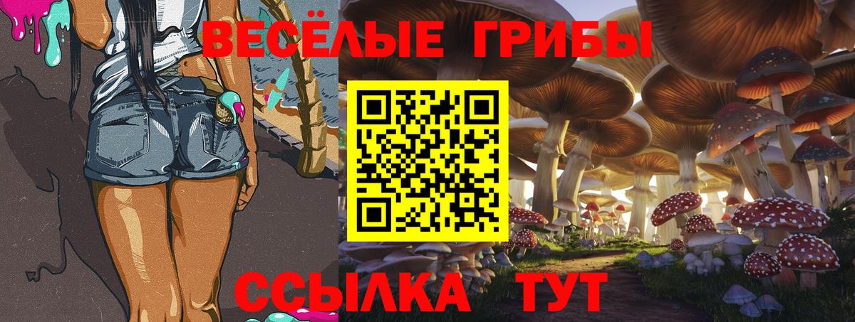 купить наркотики сайты  Вход с VPN  Кирово-Чепецк  Галлюциногенные грибы GOLDEN TEACHER  Псилоцибиновые грибы мухоморы 