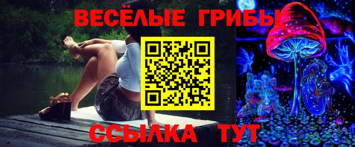 Псилоцибиновые грибы Кирово-Чепецк