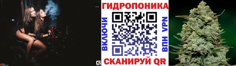 наркотики  Кирово-Чепецк  Марихуана сатива 